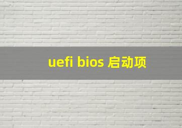 uefi bios 启动项